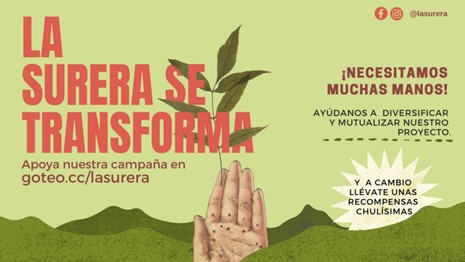 LA SURERA SE TRANSFORMA